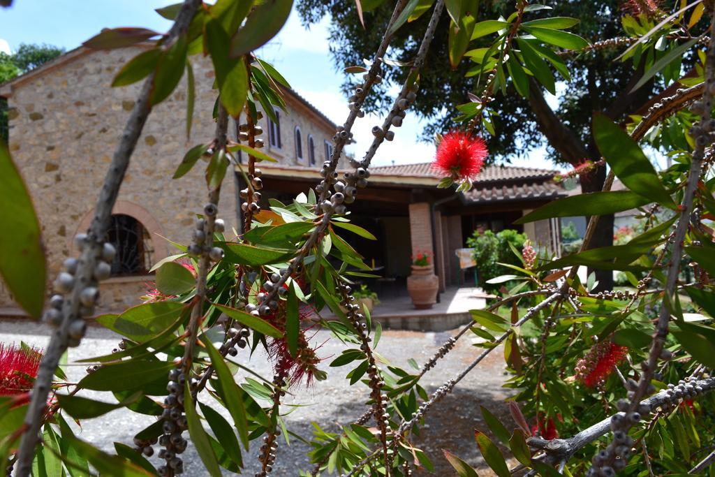 Agriturismo La Ghiraia Santa Luce Habitación foto