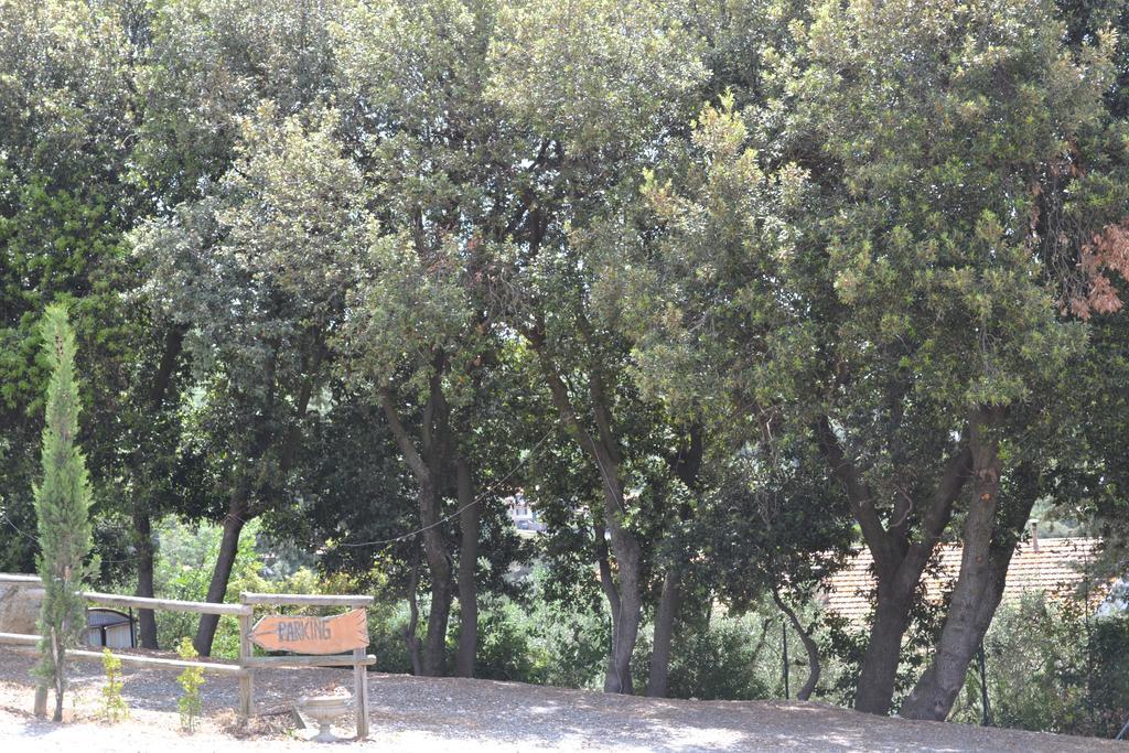 Agriturismo La Ghiraia Santa Luce Exterior foto